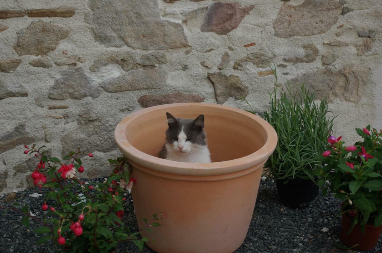 Les Trois Etangs Bed & Breakfast Saint-Viaud Luaran gambar